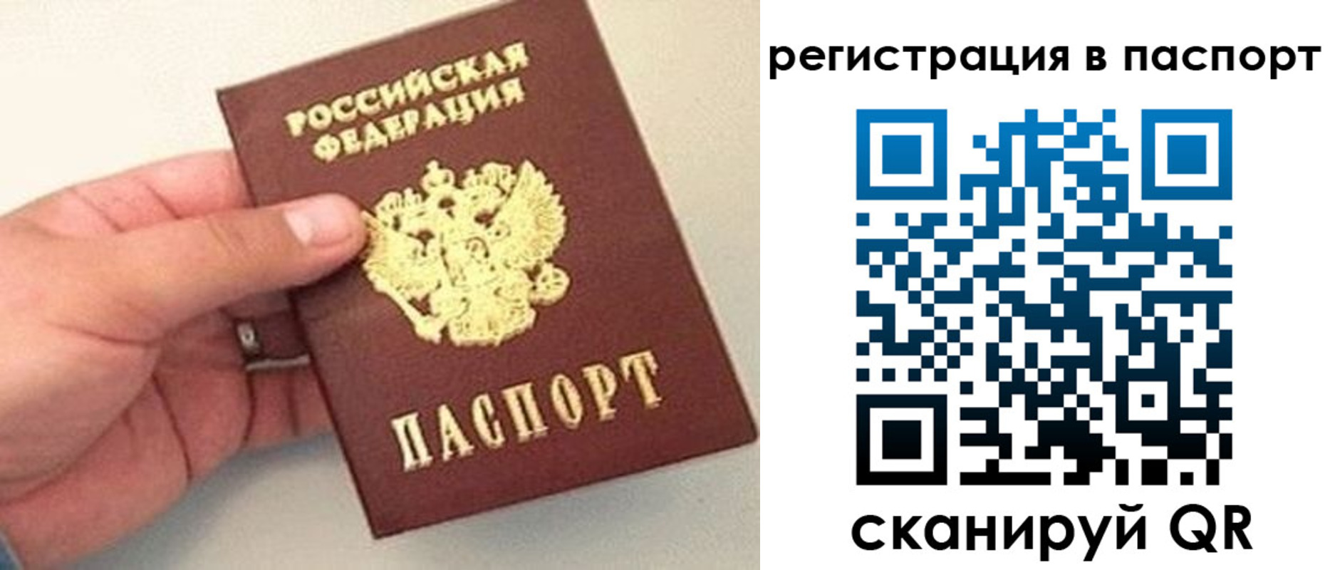 прописка законно в Козловке